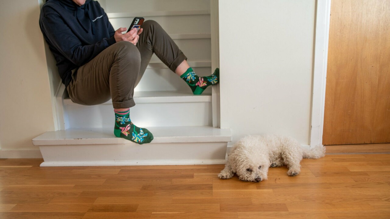 En perso sitter i en trappa med mobil i handen, en hund ligger på golvet