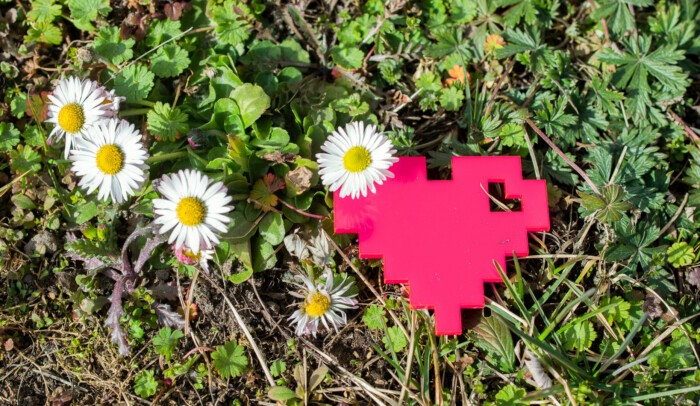 Ett pixelhjärta ligger bland gräs och tusenskönor.